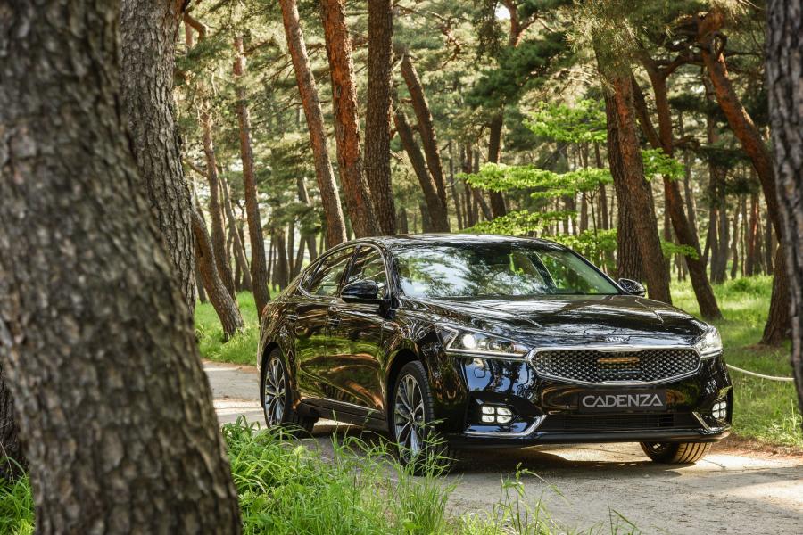  Kia Cadenza 2016 года  (фото 14 из 24)